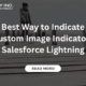 Best Way to Indicate Custom Image Indicators Salesforce Lightning
