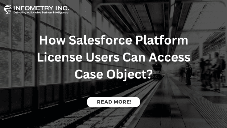 How Salesforce Platform License Users Can Access Case Object?