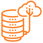 Data Warehouses Development